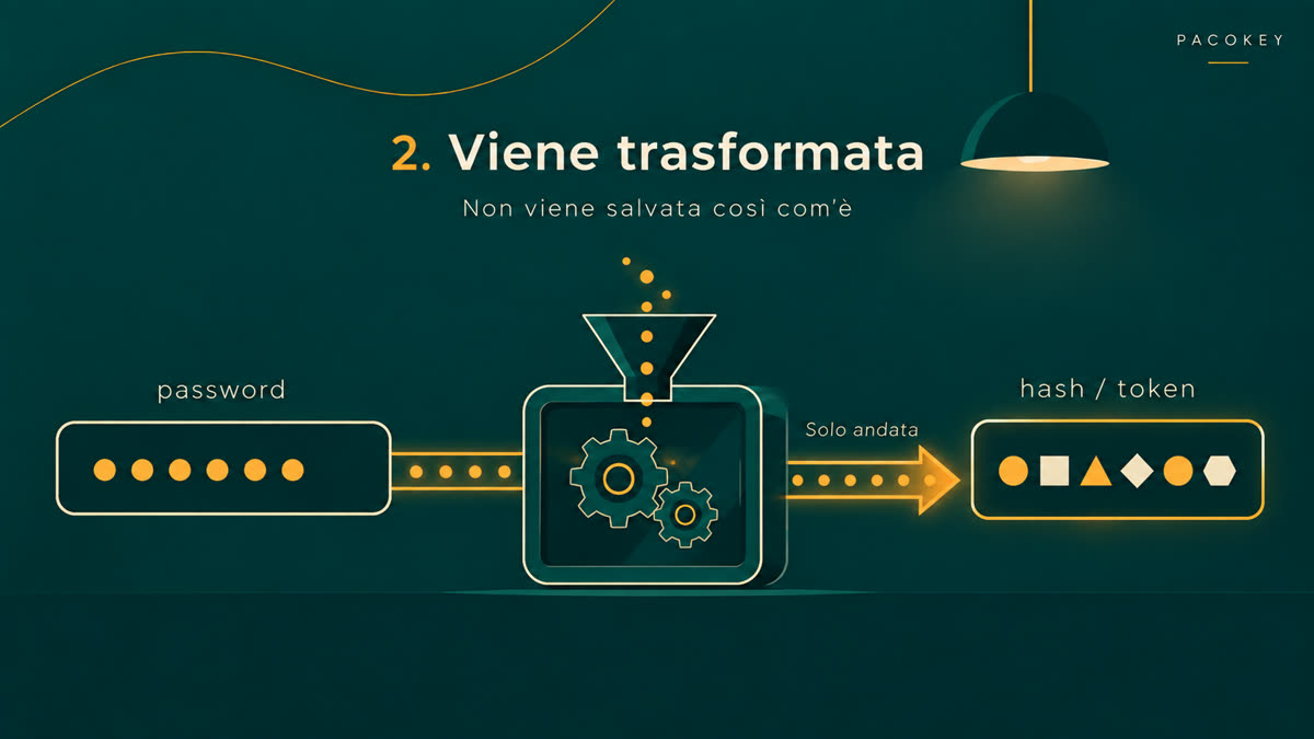 La password entra in una funzione di hash ed esce come un token illeggibile